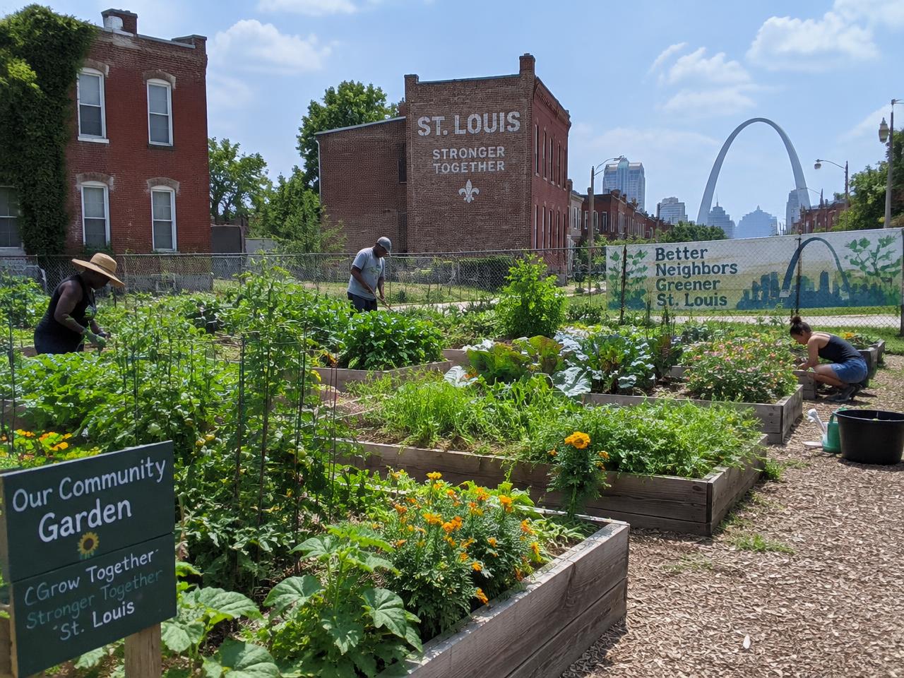 Illustrative photo: a community garden on an urban lot